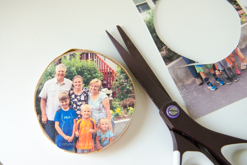 Wood Slice Photo Transfer