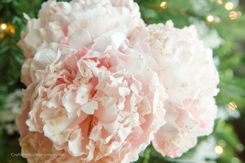 Pink Christmas Peonies