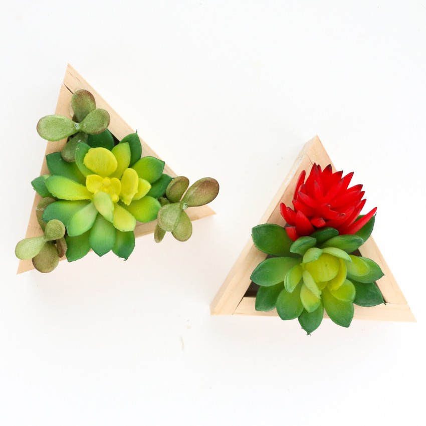 Simple Wooden Tree Succulent Ornaments