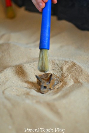 10 Sensory Bin Ideas Sensory Bins